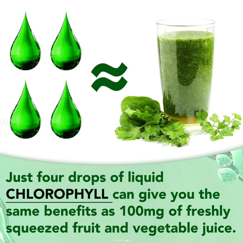 Chlorophyll Liquid Drops 60ml