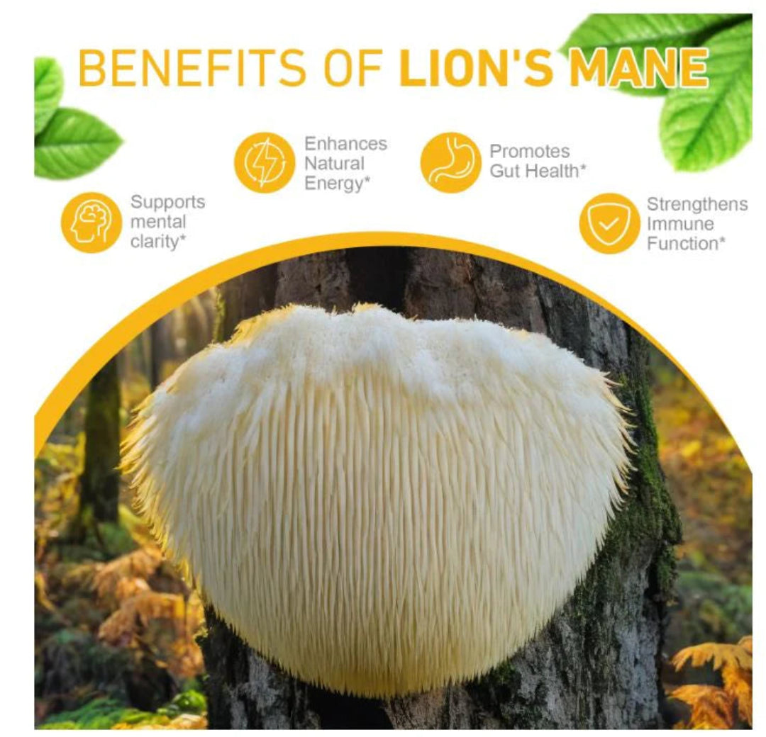 Lion's mane mushroom on a tree with benefits listed above it